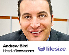 Andrew Bird LifeSize